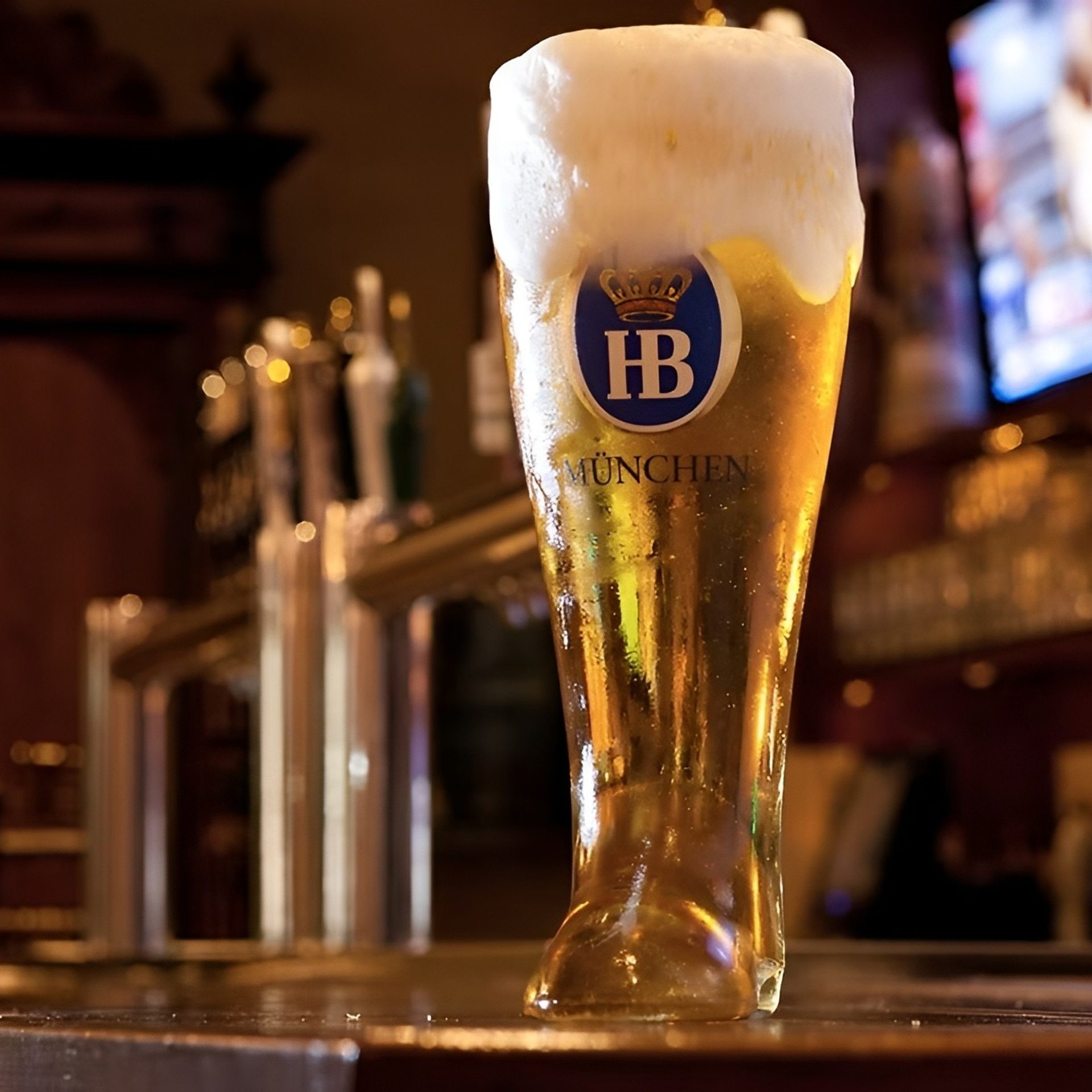 Beer Pairings With Every Meal